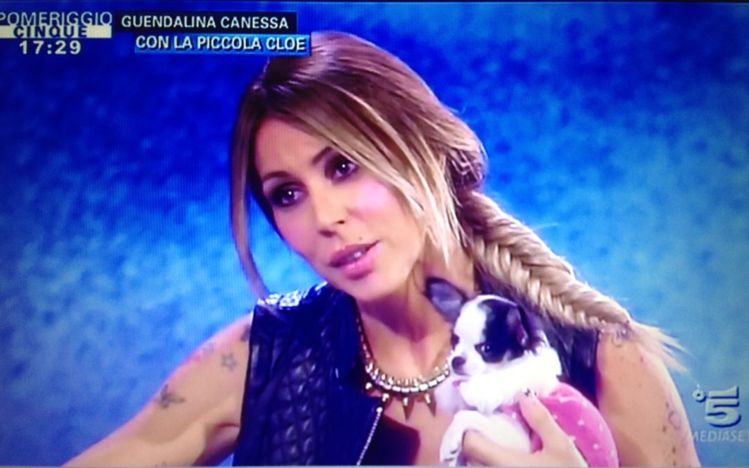 Celebrities: Guendalina Canessa con la piccola Chihuahua Borchia in Prince and Princess a Pomeriggio Cinque!