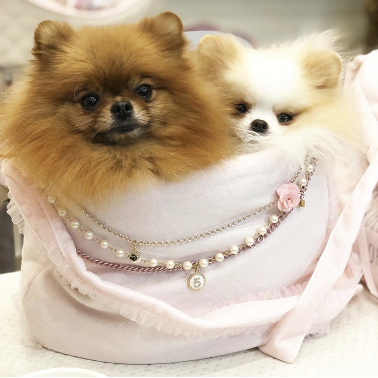 Prince and Princess  Abbigliamento e accessori per cani